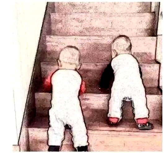 双生子爬梯实验警示，对儿童切勿拔苗助长